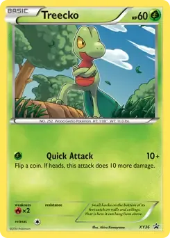 Treecko XY36