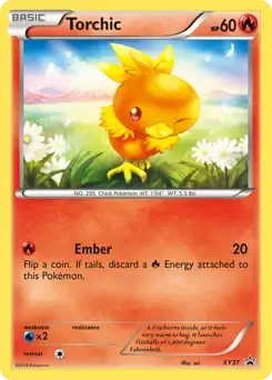 Torchic XY37