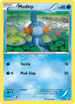 Mudkip XY38